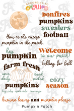 Load image into Gallery viewer, Pumpkin Patch Sticker Sheet Set