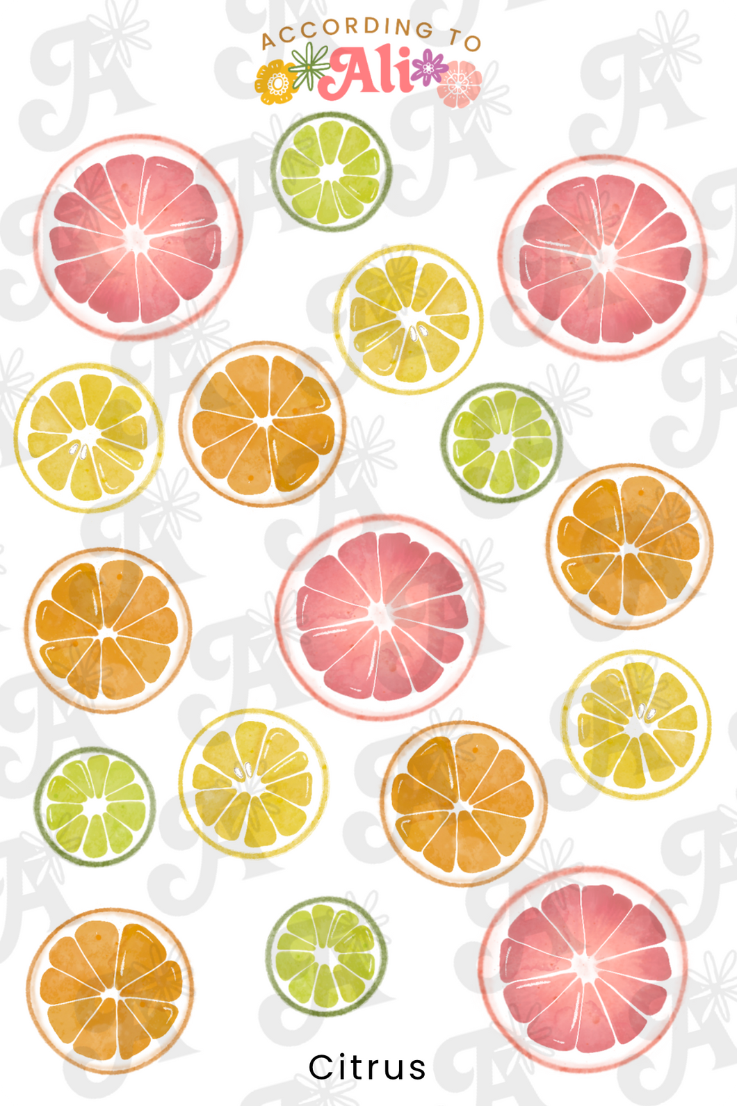 Citrus Sticker Sheet