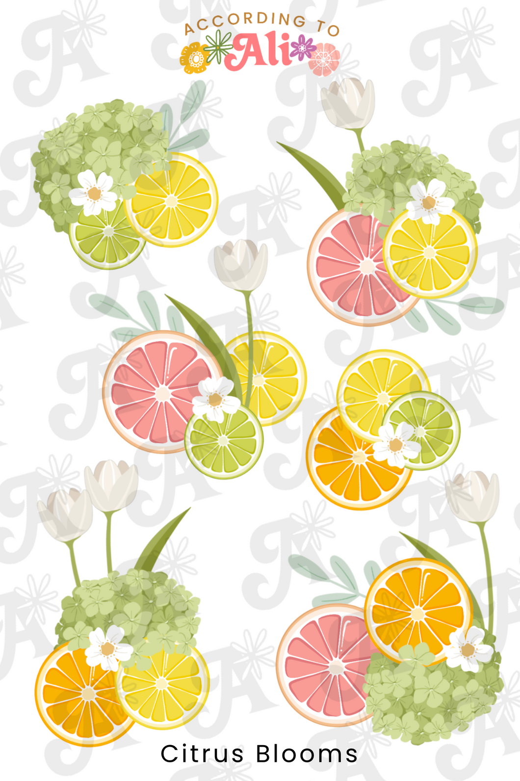 Citrus Blooms Sticker Sheet