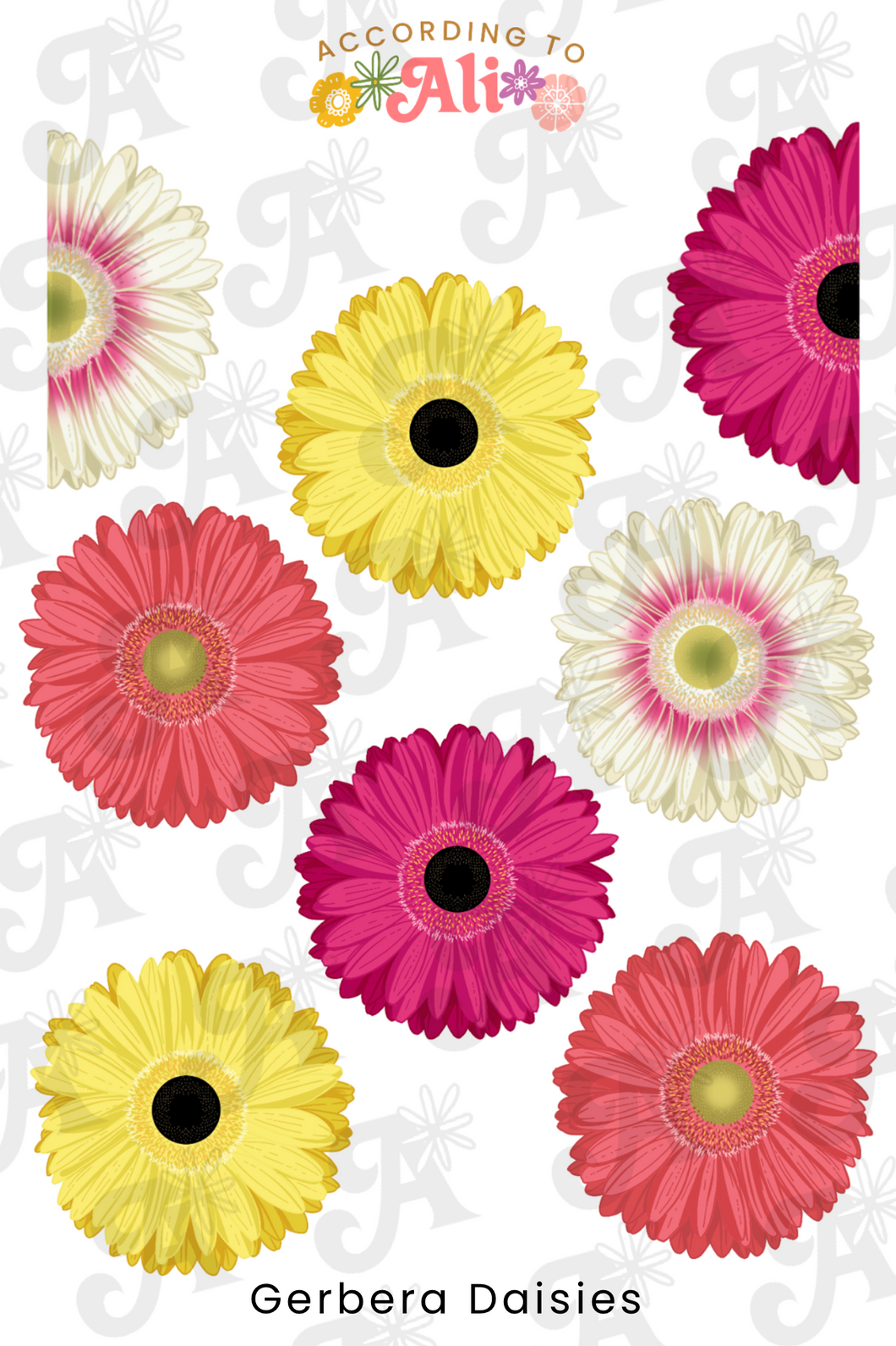 Gerbera Daisies Sticker Sheet