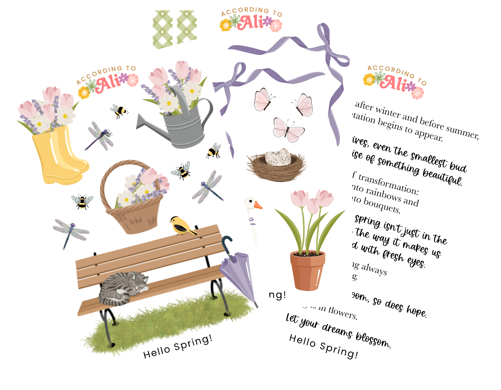 Hello Spring! Sticker Sheet Set – according to ali