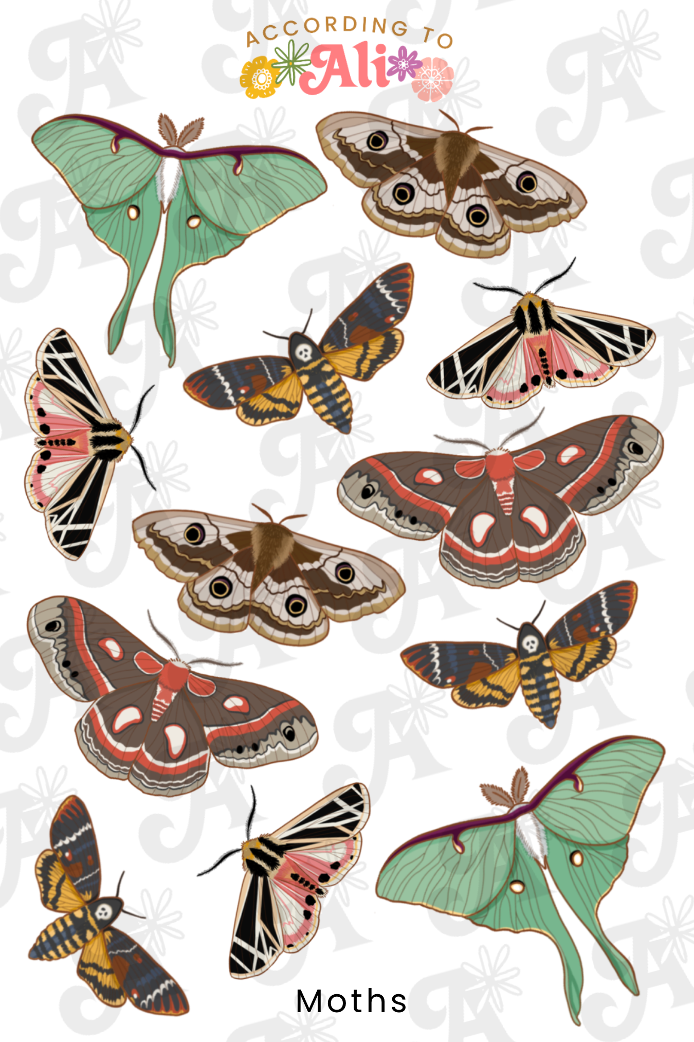 Moths Sticker Sheet – according to ali