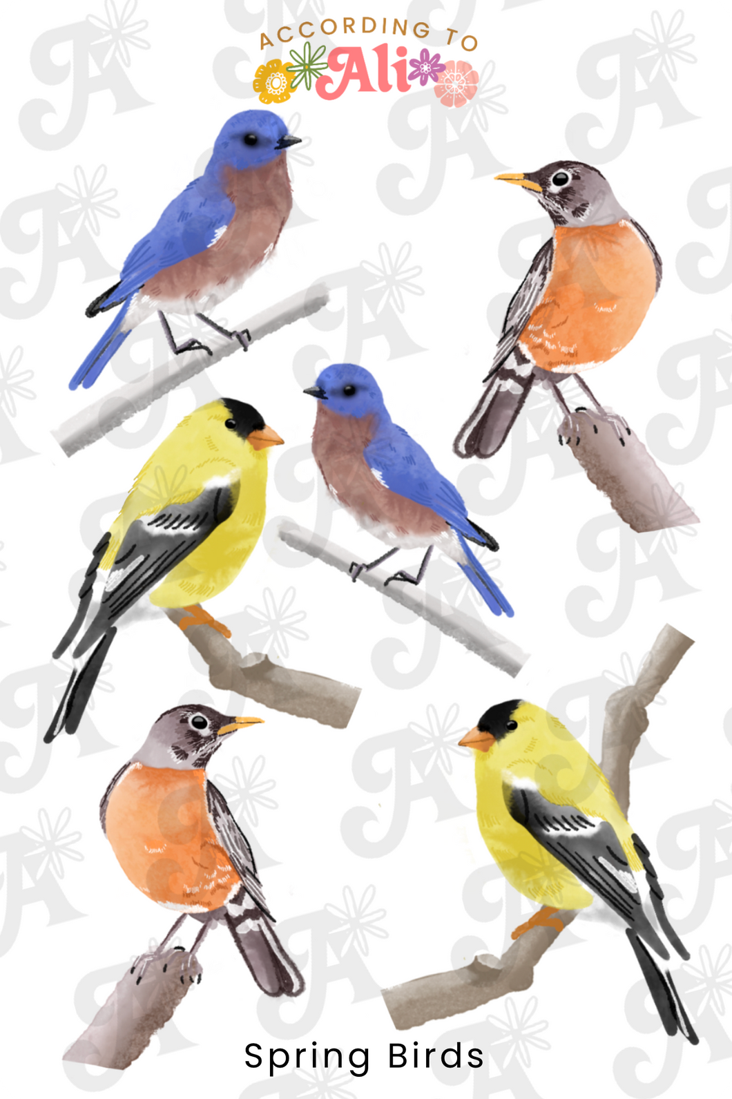 Spring Birds Sticker Sheet