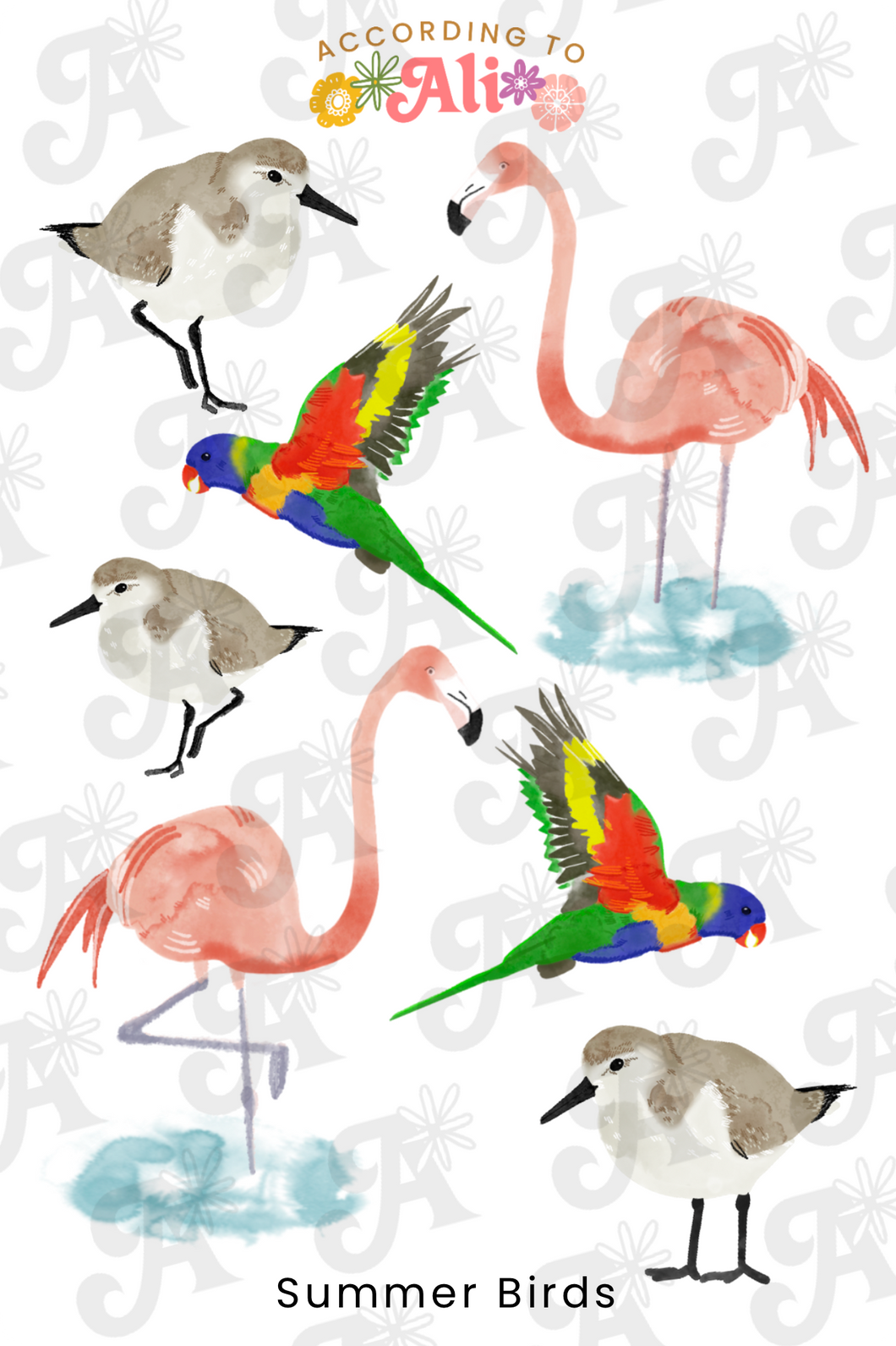 Summer Birds Sticker Sheet