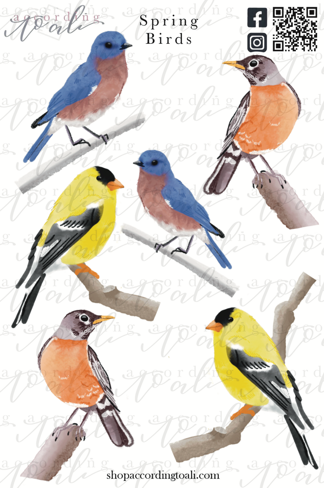 Spring Birds Sticker Sheet