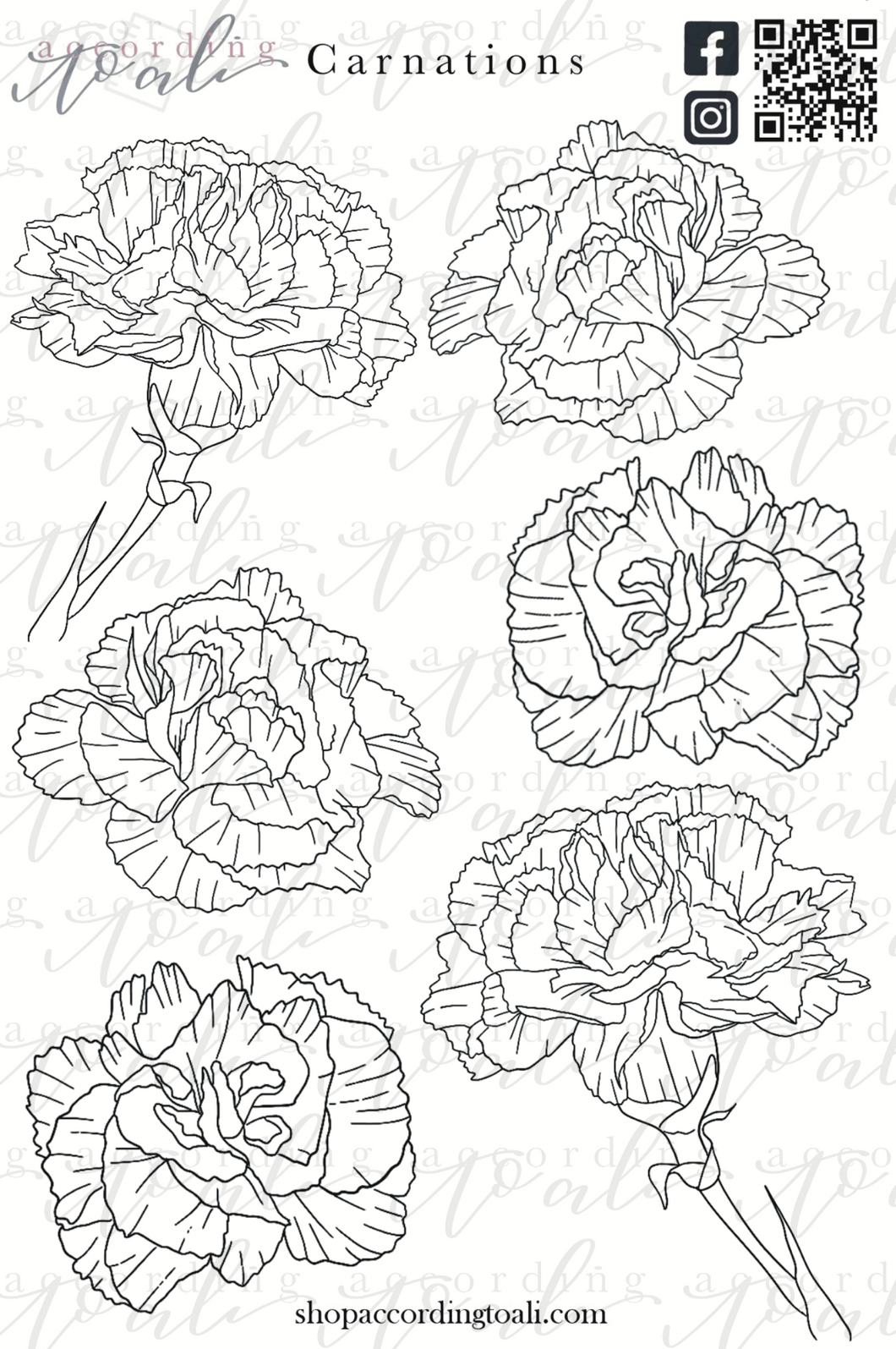 Carnations Sticker Sheet